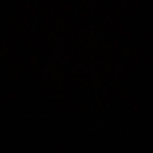 Meet your Posher, Logan